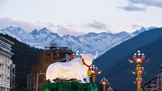 8K康定神牛与折多山雪山延时视频