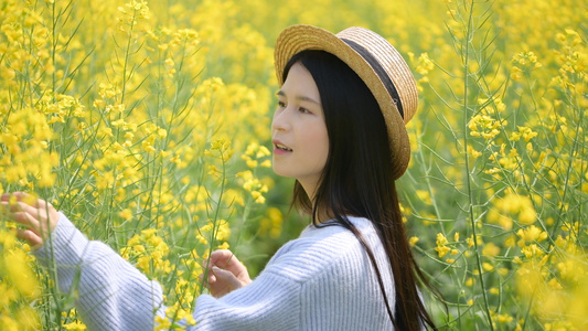 4K油菜花海里的少女视频