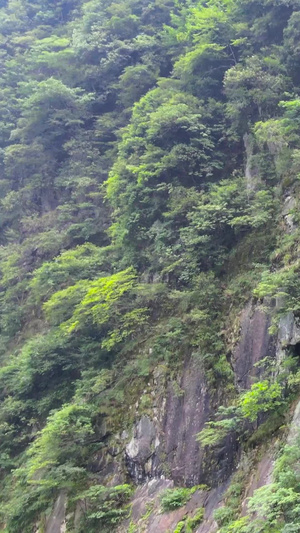 5A风景区明月山云谷飞瀑航拍合集江西旅游82秒视频