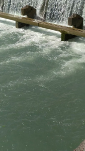 流动的河水水流4K实拍视频视频