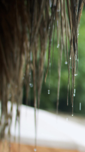 实拍中国风下雨天乡村屋顶雨滴落下21秒视频