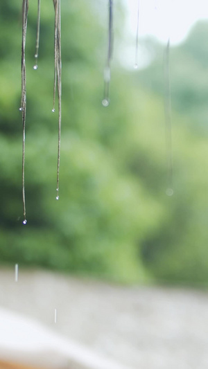 实拍中国风下雨天乡村屋顶雨滴落下21秒视频