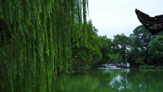 夏日傍晚池塘里的喷泉美景[酷夏]视频