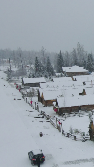 西北喀纳斯雪乡下雪村庄25秒视频