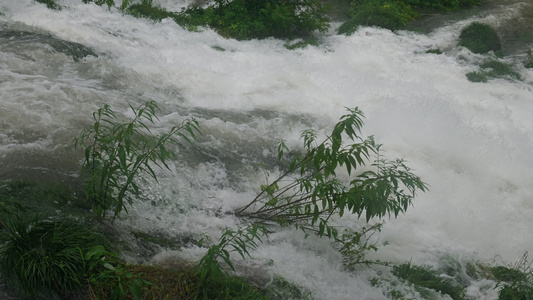 河水水流4K雨滴视频