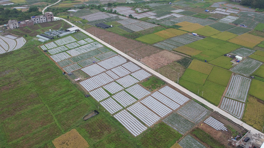 农村农业种植基地航拍视频