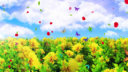 4K唯美的鲜花动画背景素材视频