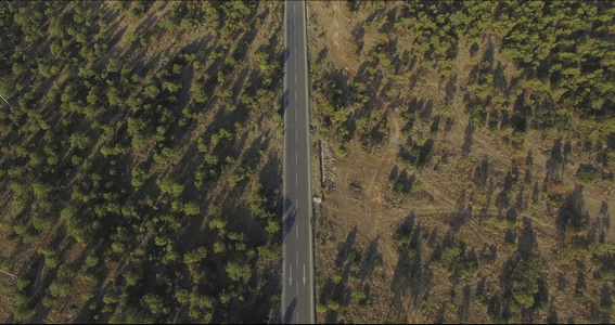 荒漠森林高速公路4k高清航拍视频