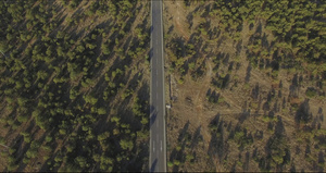 荒漠森林高速公路4k高清航拍39秒视频