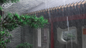 夏天树叶大暴雨水珠28秒视频