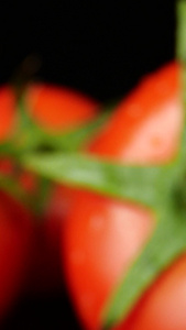 西红柿微距番茄水果天然绿色有机蔬菜新鲜蔬菜视频