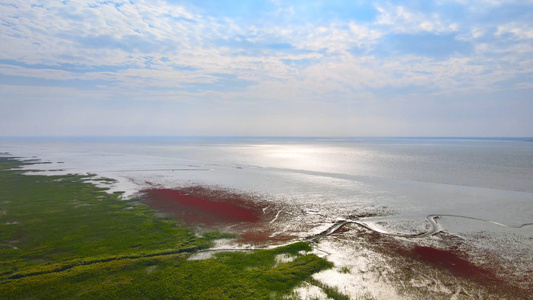 4K航拍红海滩芦苇海交界红绿颜色碰撞大自然视频