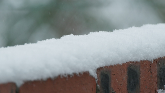 冬天冬季下雪花寒冷视频