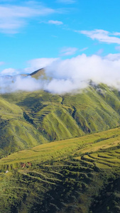 航拍大自然高原山脉清晨云雾缭绕青藏高原视频