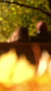 深秋公园休闲椅上的情侣视频