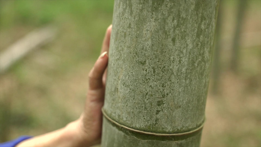 老人慢动作走在竹林里砍竹子寻找竹子视频