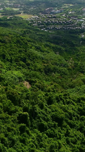 海南呀诺达雨林文化5A旅游区风光三亚景点视频