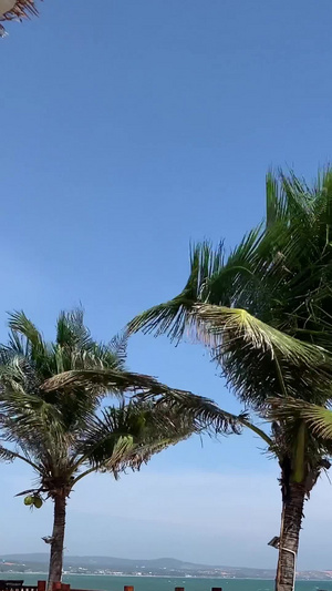 巴厘岛酒店竖版视频旅游景点38秒视频