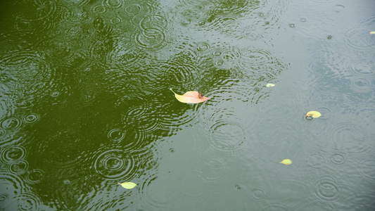 下雨天的水面4K[大雨天]视频