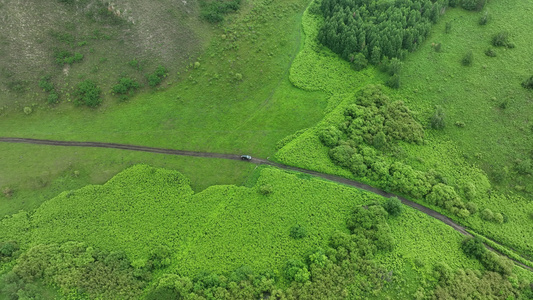 草原上的道路视频