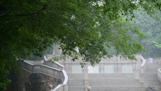 倾盆大雨4K视频