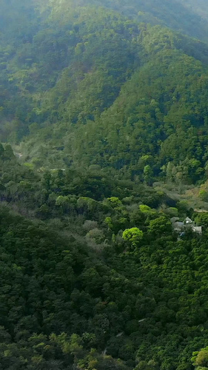 航拍雨后的森林山谷9秒视频