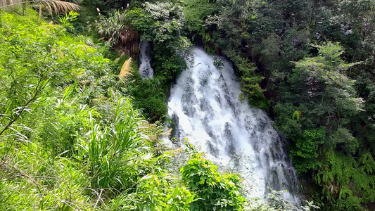 大山里的天然的瀑布视频