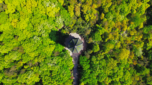 4K航拍南京市5A风景区中山陵灵谷寺景区视频