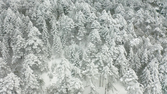 航拍雪景云雾视频