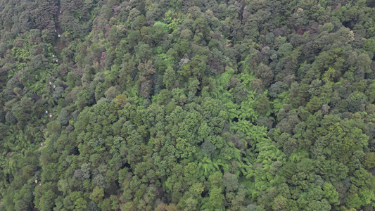 重庆缙云山脉与北碚小城风景航拍视频