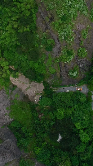 高清航拍森林俯视视频大自然21秒视频
