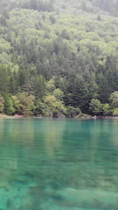 九寨沟五花海水面旅游景点视频