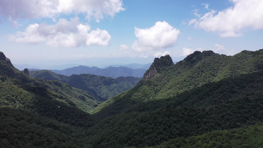 秦岭高山草甸视频