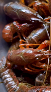 即将由食材变成美味的小龙虾油焖大虾视频