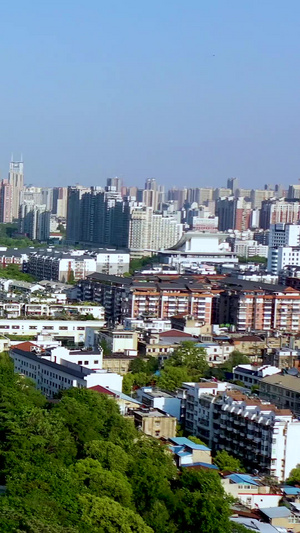 航拍武汉黄鹤楼和城市景观城市天际线60秒视频