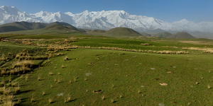 新疆那拉提网红景点雪山草原19秒视频