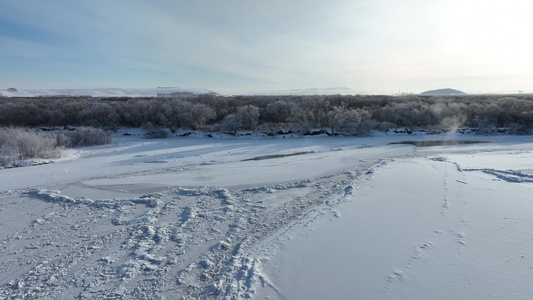 海拉尔河湿地寒冬冰封雪景视频