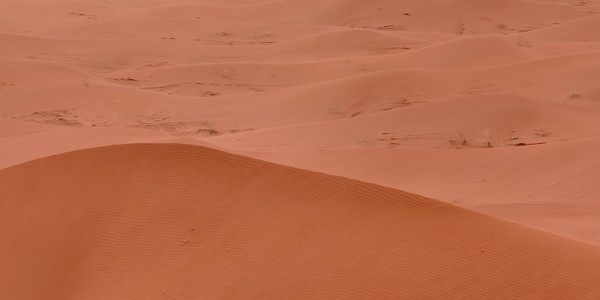 新疆塔克拉玛干红色沙漠视频