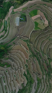 高清航拍湖南紫鹊界国家自然与文化双遗产4A景区月牙山观景台视频