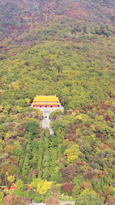 航拍南京明孝陵钟山景区视频