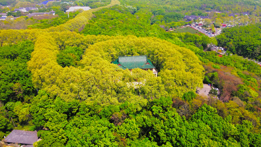 4K航拍南京中山陵景区美龄宫视频