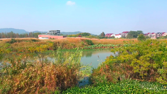 德清县下渚湖湿地风光游客游玩视频