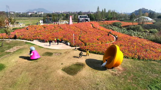 德清县下渚湖风光湿地游船湖面玻璃栈道视频