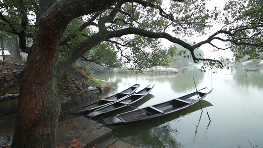 德清县下渚湖风光湿地游船湖面玻璃栈道视频