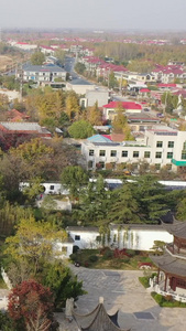 航拍寺庙古建筑山东郯城银杏古梅园广福寺旅游景点视频