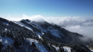 航拍湖北5A级旅游景区神农架林区神农顶山峰云海4k素材57秒视频