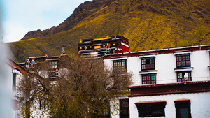 4k西藏5A景区日喀则扎什伦布寺4K17秒视频