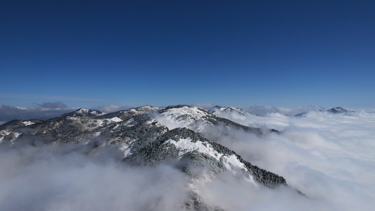 航拍湖北5A级旅游景区神农架山顶云海雪山4k素材视频