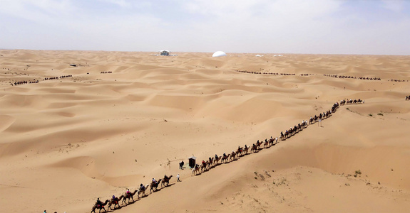 4k航拍宁夏中卫腾格里沙漠骆驼队视频