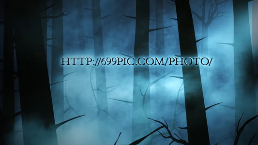 夜晚幽静的树林背景文字转换特效视频